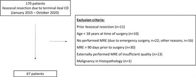Diagnostic Accuracy of Magnetic Resonance Enterography for the Evaluation of Active and Fibrotic Inflammation in Crohn’s Disease